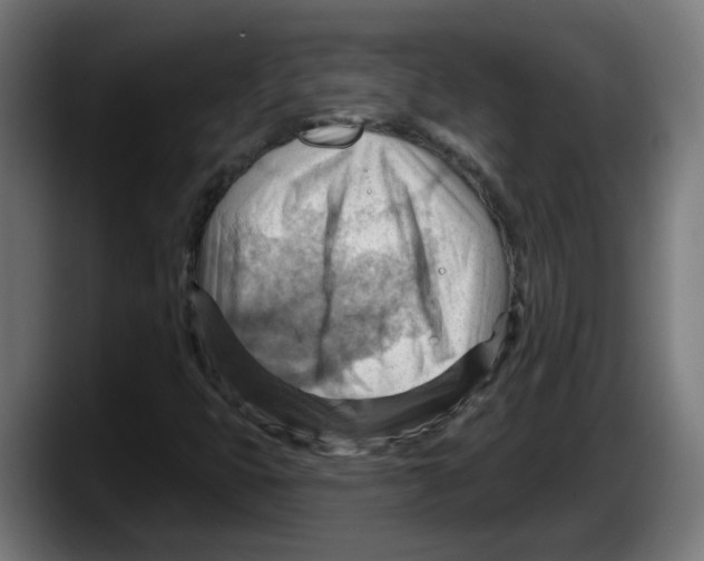 X0000087591399200705251852