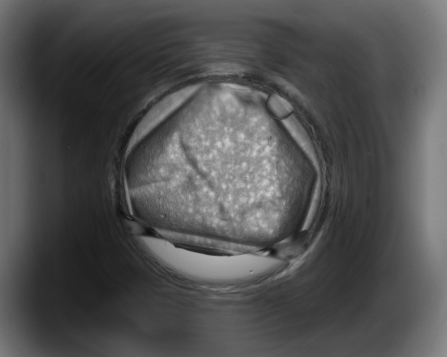 X0000087591401200705251852