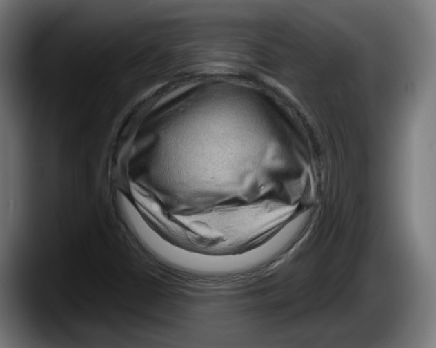 X0000087591402200705251852