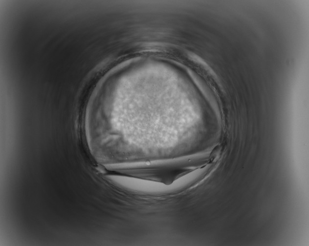 X0000087591403200705251852