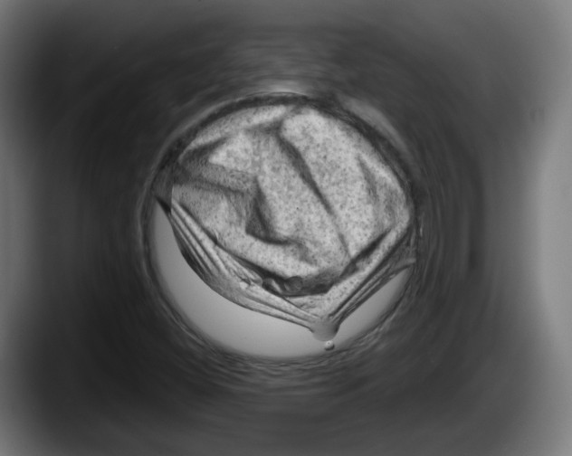 X0000087591404200705251852