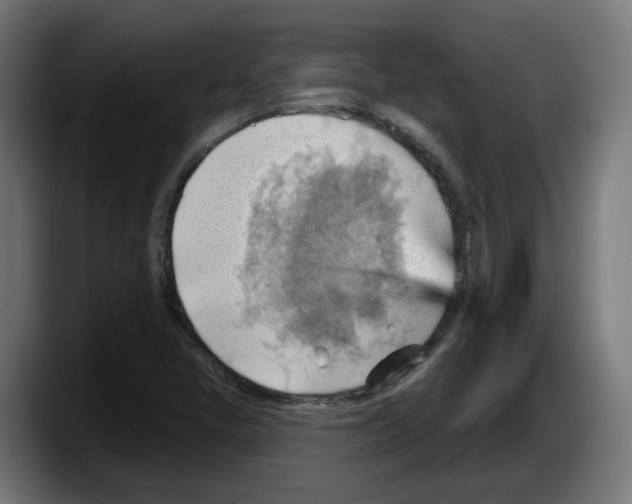 X0000087591405200705251852