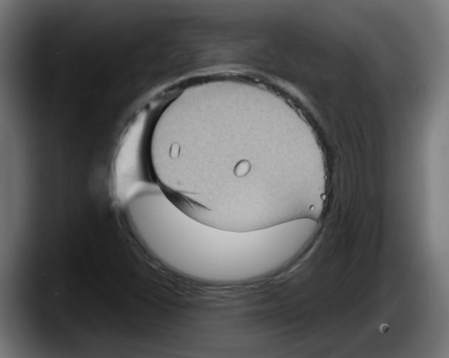 X0000087591406200705251852