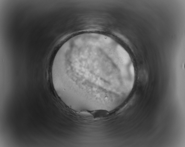 X0000087591407200705251852