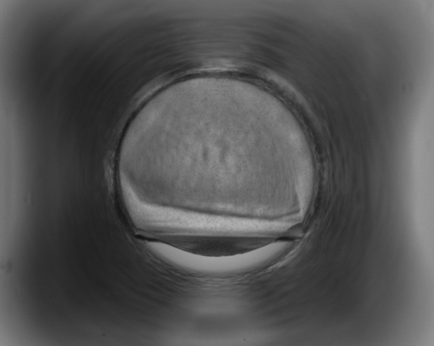 X0000087591409200705251852