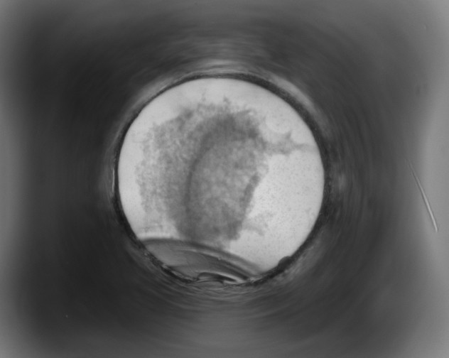 X0000087591413200705251852