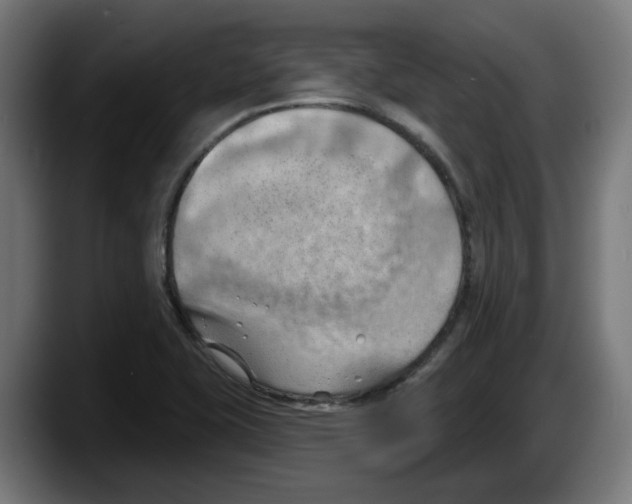 X0000087591415200705251852