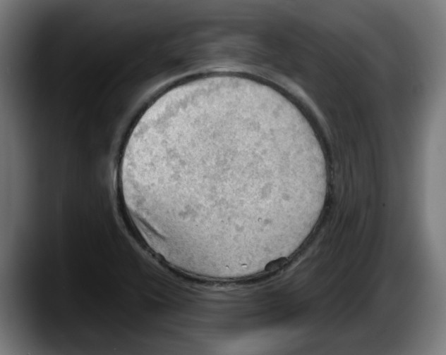 X0000087591416200705251852