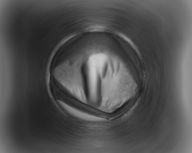 X0000087591418200705251852