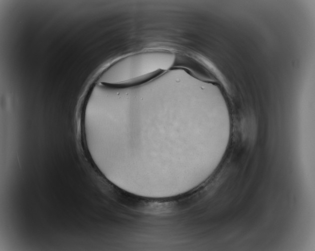 X0000087591419200705251852