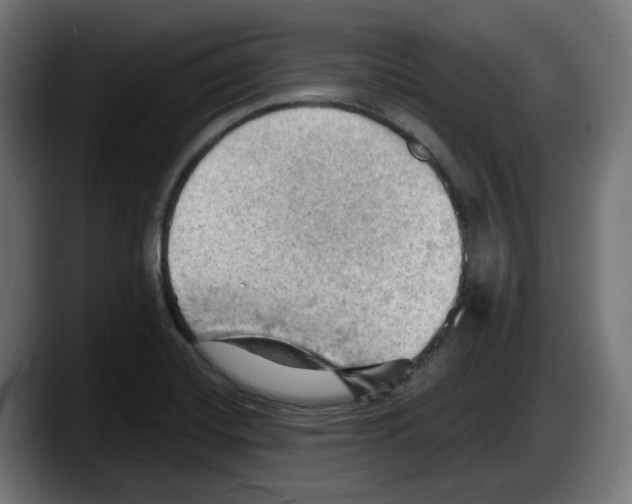 X0000087591420200705251852