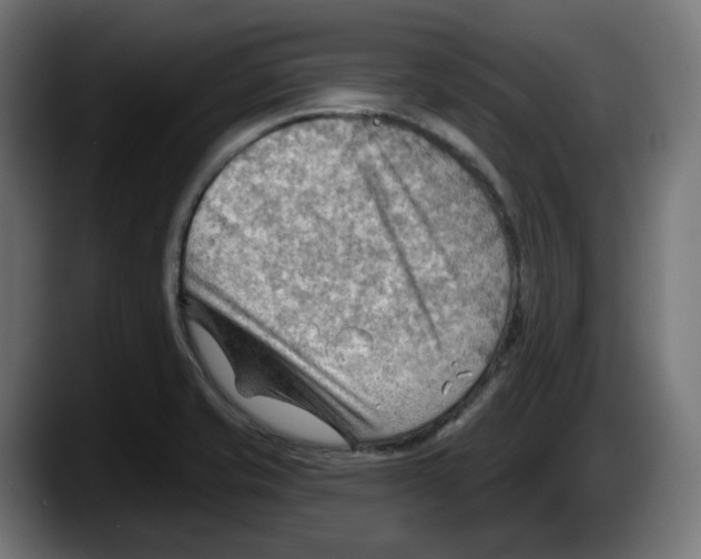 X0000087591421200705251852