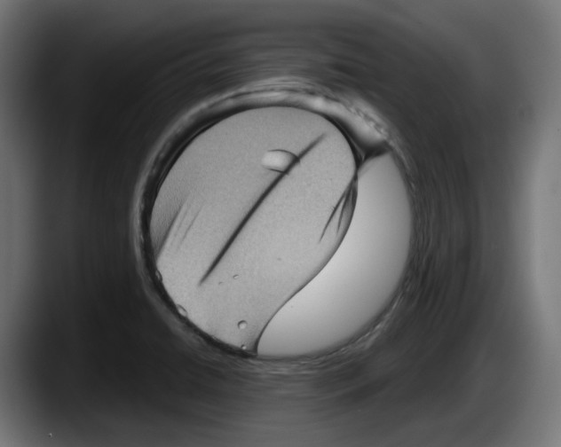 X0000087591422200705251852