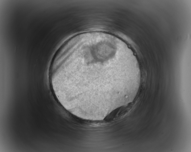 X0000087591423200705251852