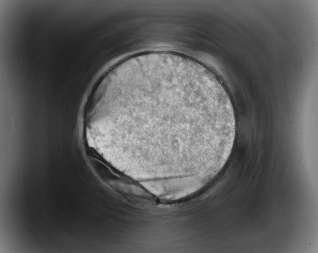 X0000087591424200705251852