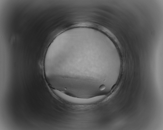 X0000087591425200705251852