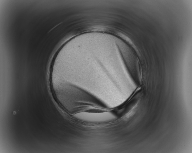 X0000087591426200705251852