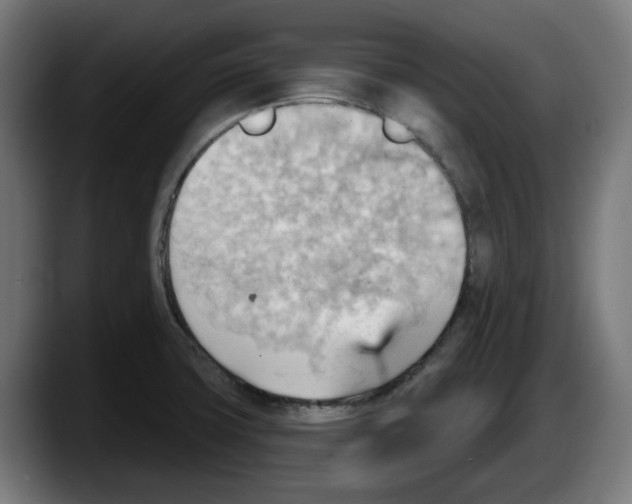 X0000087591427200705251852