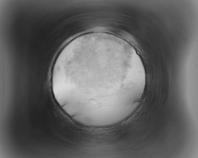 X0000087591428200705251852