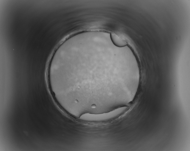 X0000087591429200705251852