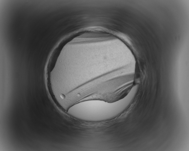 X0000087591430200705251852