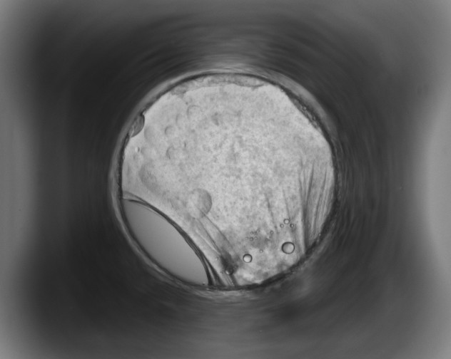 X0000087591432200705251852