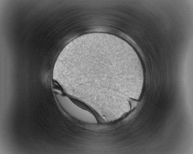 X0000087591433200705251852