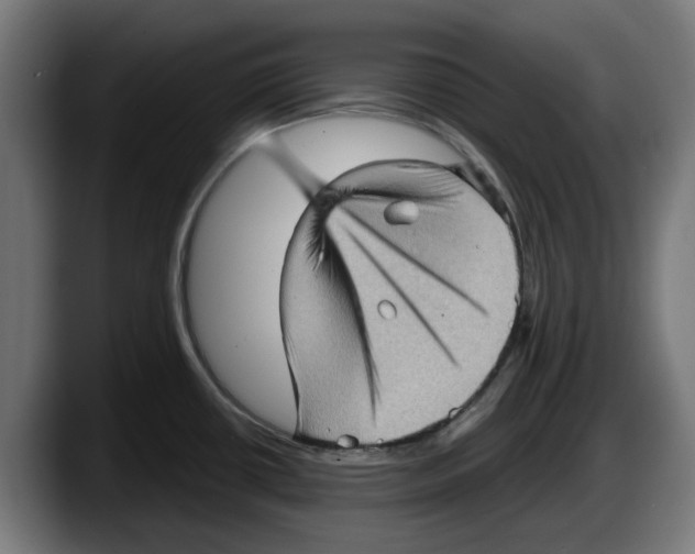 X0000087591434200705251852