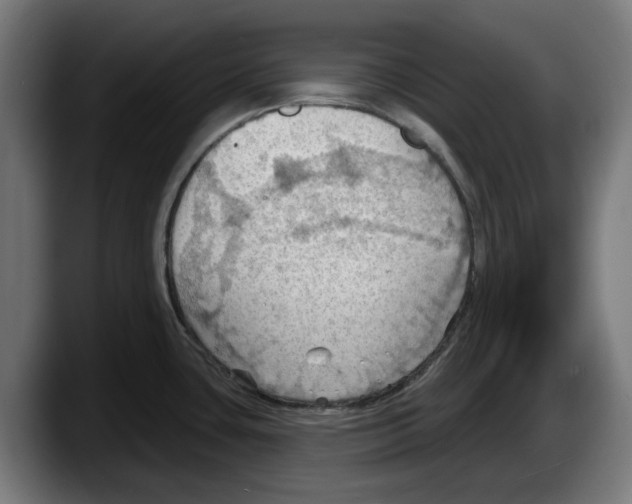 X0000087591435200705251852