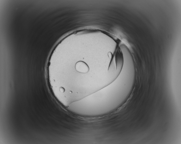 X0000087591436200705251852