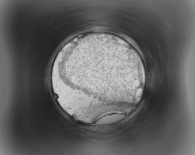 X0000087591437200705251852