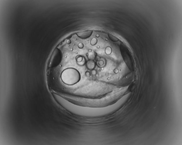 X0000087591439200705251852