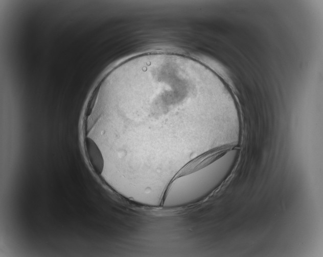 X0000087591440200705251852