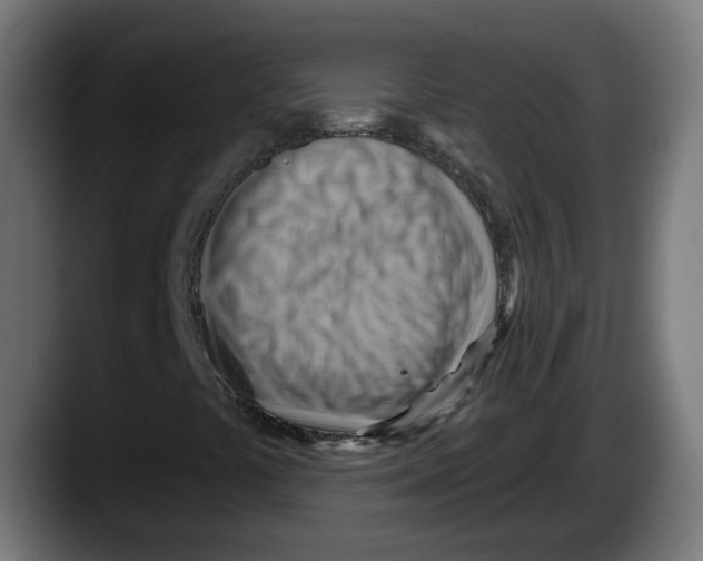 X0000087591441200705251852