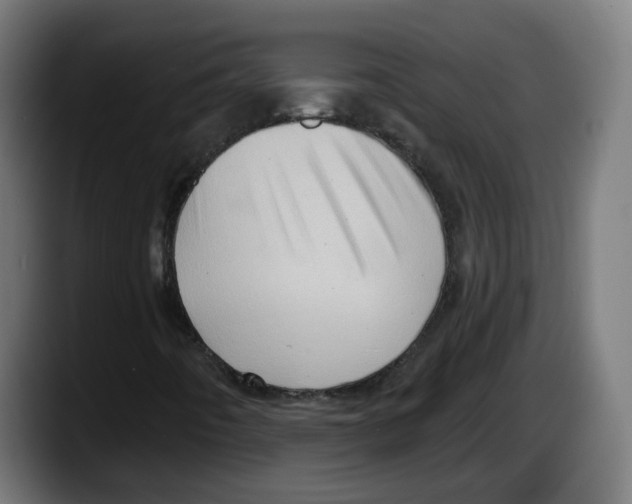 X0000087591442200705251852