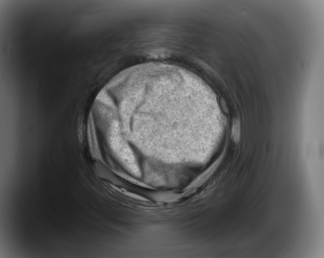 X0000087591444200705251852