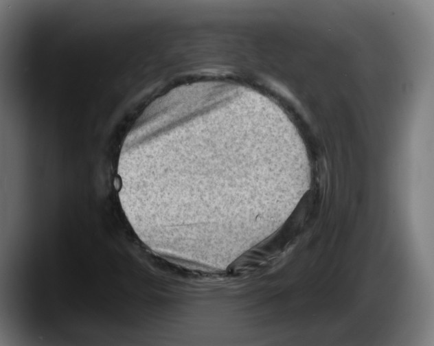 X0000087591448200705251852