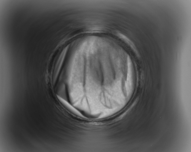 X0000087591449200705251852