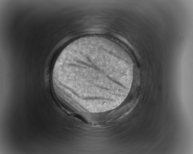 X0000087591450200705251852