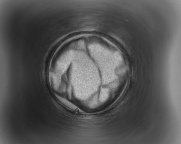 X0000087591452200705251852