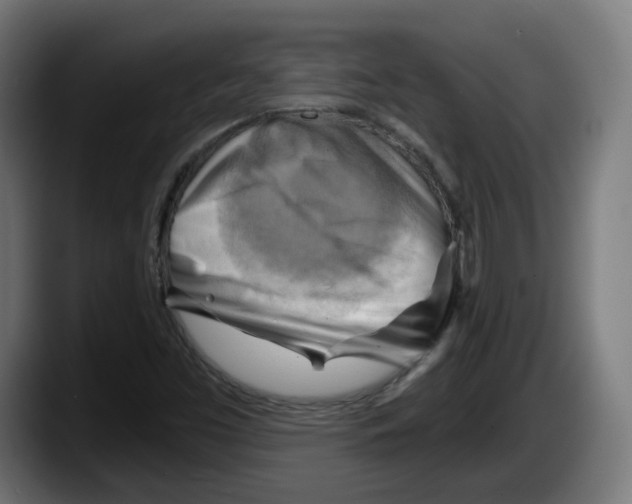 X0000087591453200705251852