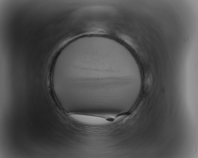 X0000087591455200705251852