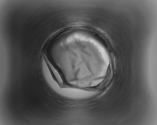 X0000087591457200705251852