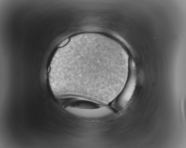 X0000087591461200705251852