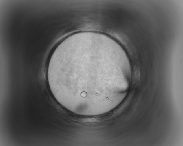 X0000087591462200705251852