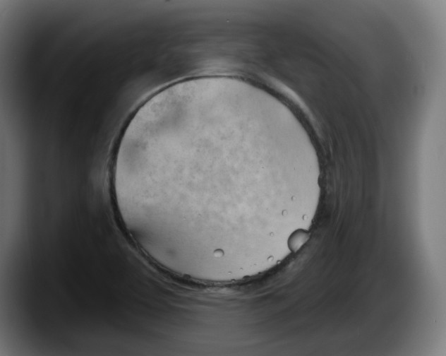 X0000087591463200705251852