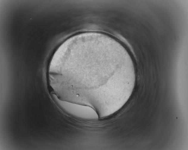 X0000087591464200705251851