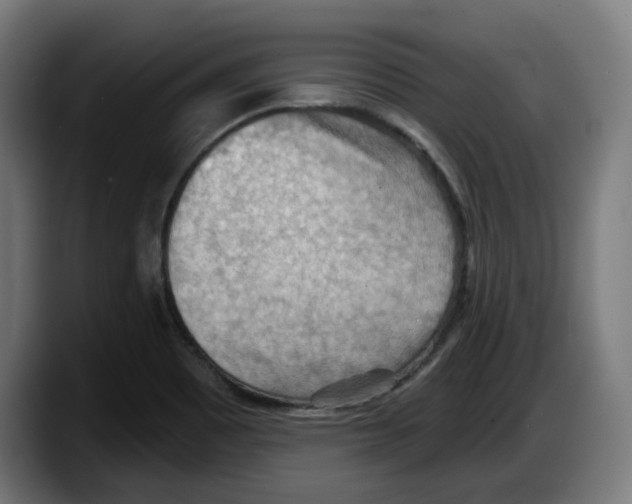 X0000087591465200705251851