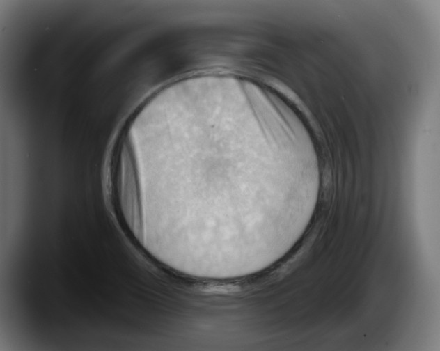 X0000087591466200705251851