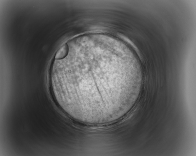 X0000087591467200705251851